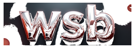 wsb logo